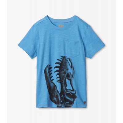 Футболка Hatley S23DDK1194D