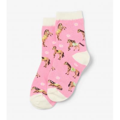 Шкарпетки Hatley SO3COHO001