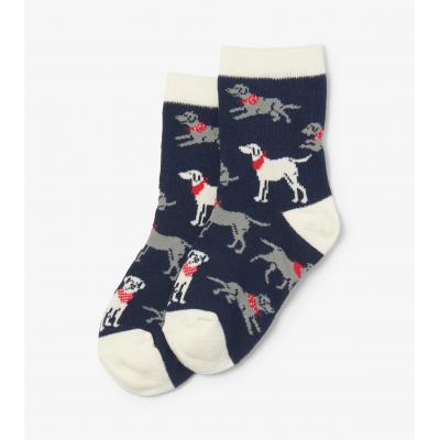 Шкарпетки Hatley SO3LABS001