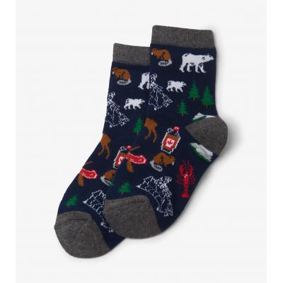 Шкарпетки Hatley SO3WIAN003