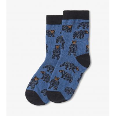 Шкарпетки Hatley SO3WIBE528