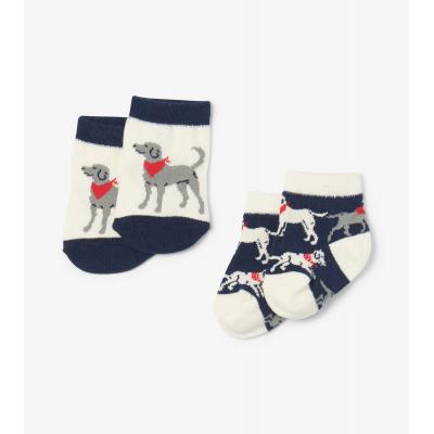 Шкарпетки Hatley SO6LABS001