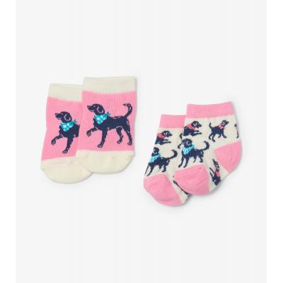 Шкарпетки Hatley SO6LABS002