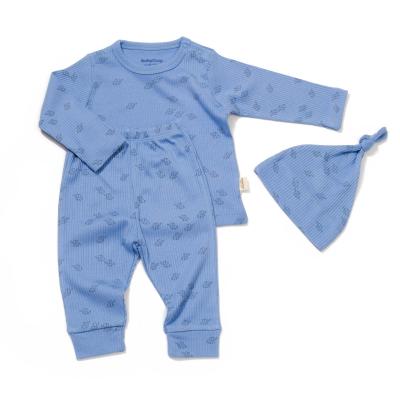 Комплект BabyCosy CSYM25501-BLUE