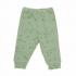 Комплект BabyCosy CSYM25503-GREEN