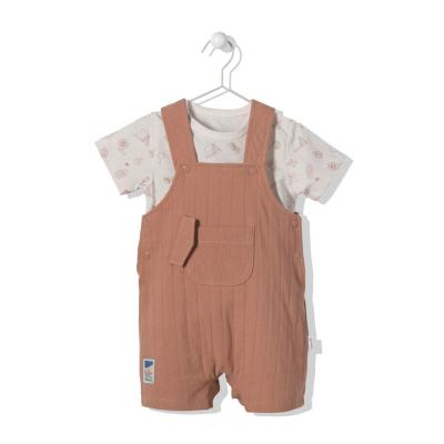 Комплект Bebetto K3742-BROWN