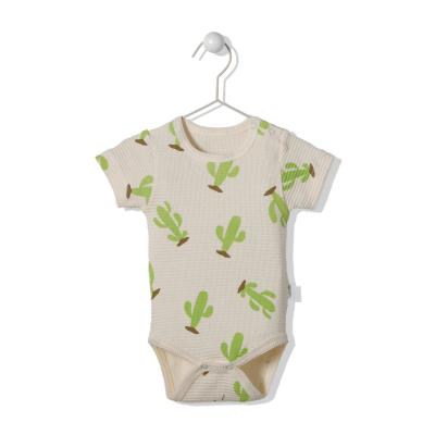 Боді Bebetto T3045-GREEN