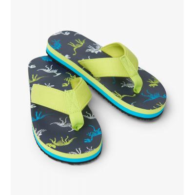 В`єтнамки Hatley S21DBK029