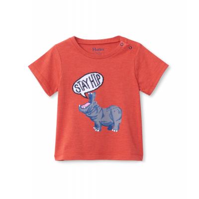 Футболка Hatley S20RCI1300