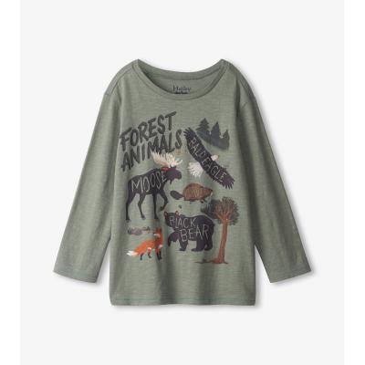 Реглан Hatley F21LWK1465